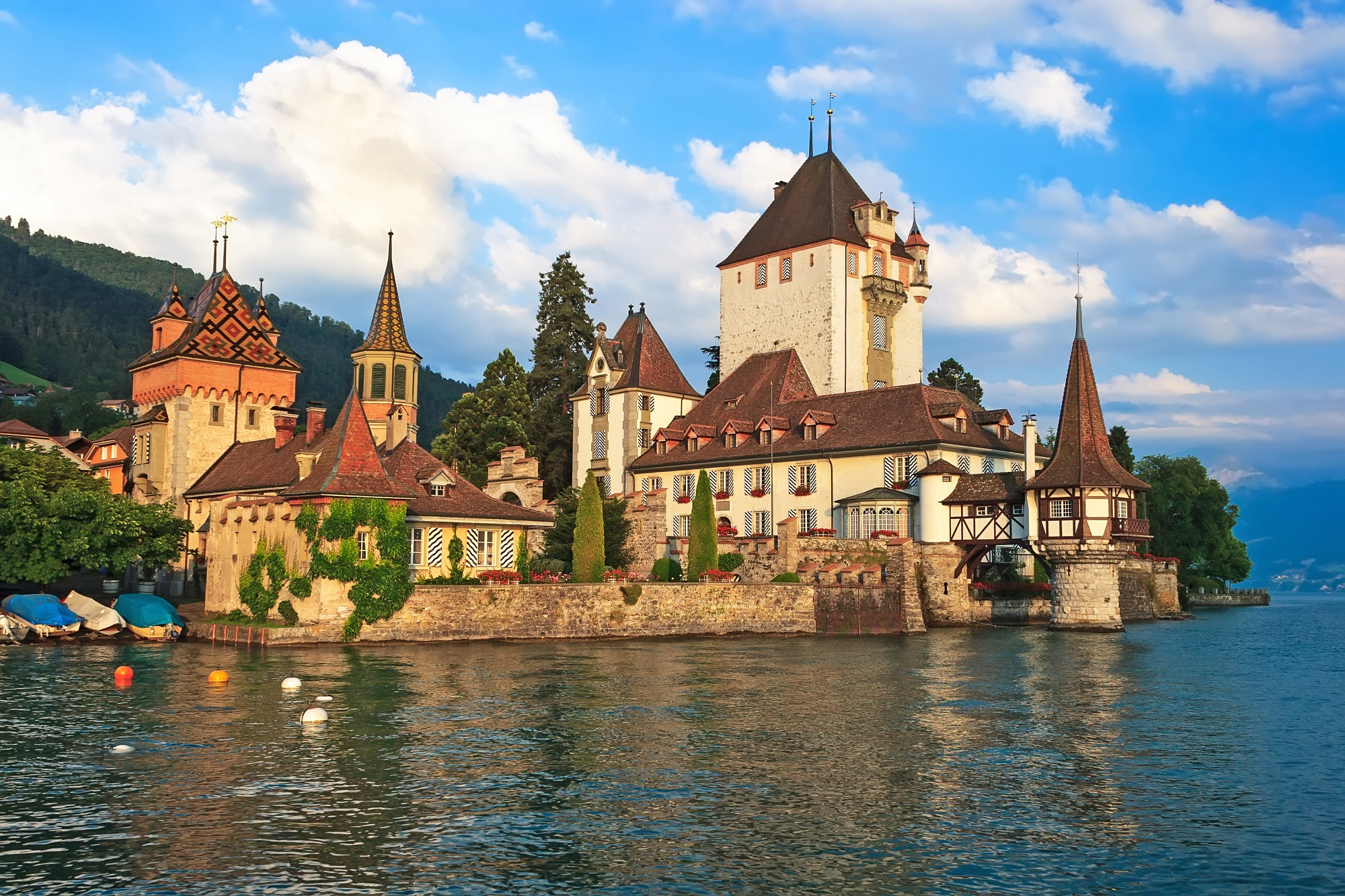 Geneva View